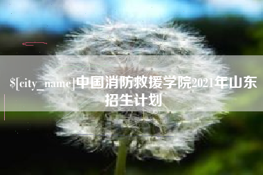 杞县中国消防救援学院2021年山东招生计划