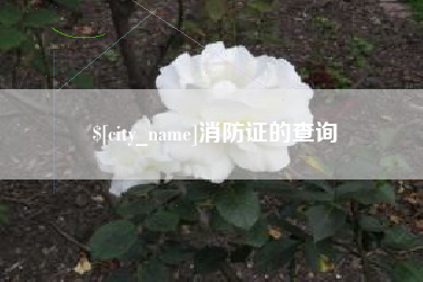 杞县消防证的查询