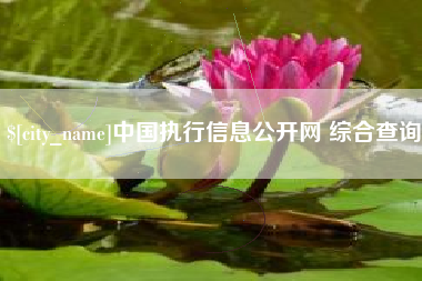杞县中国执行信息公开网 综合查询