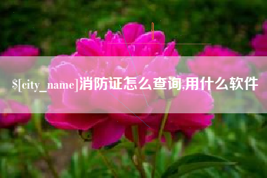 杞县消防证怎么查询,用什么软件