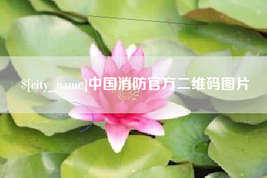 杞县中国消防官方二维码图片