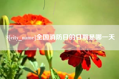 杞县全国消防日的日期是哪一天