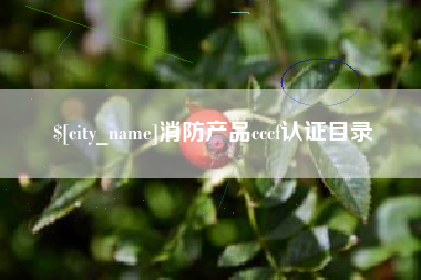杞县消防产品cccf认证目录