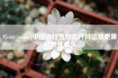 杞县中国执行信息公开网信息更新时间是多久