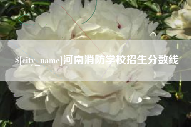 杞县河南消防学校招生分数线