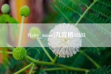 杞县九宫格42633
