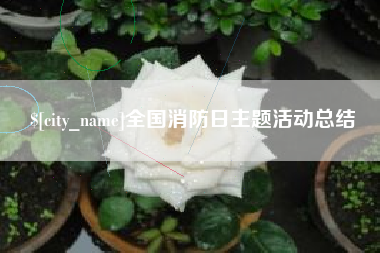杞县全国消防日主题活动总结