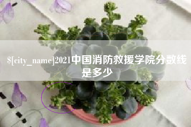 杞县2021中国消防救援学院分数线是多少