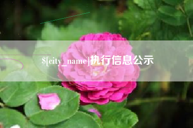 杞县执行信息公示