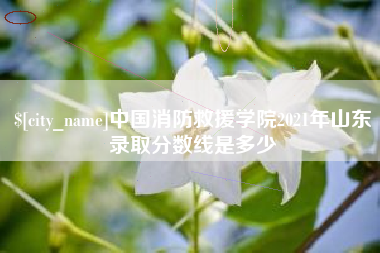 杞县中国消防救援学院2021年山东录取分数线是多少
