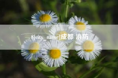 杞县成都 消防