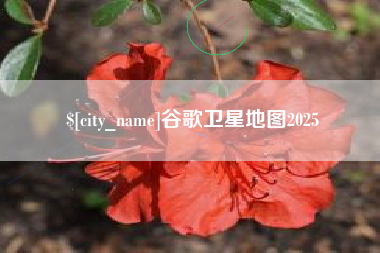 杞县谷歌卫星地图2025