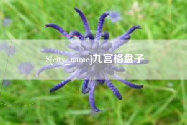 杞县九宫格盘子