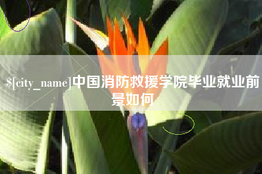 杞县中国消防救援学院毕业就业前景如何