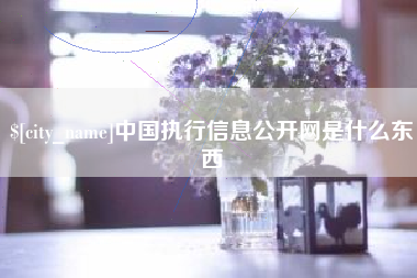 杞县中国执行信息公开网是什么东西
