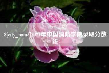 杞县2021年中国消防学院录取分数线