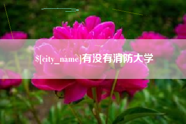 杞县有没有消防大学