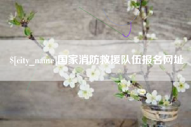 杞县国家消防救援队伍报名网址