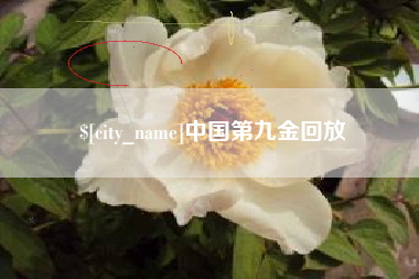杞县中国第九金回放