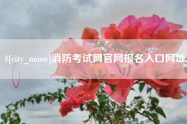 杞县消防考试网官网报名入口网址