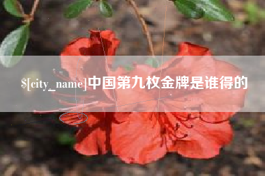 杞县中国第九枚金牌是谁得的