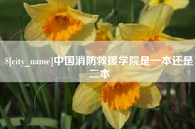 杞县中国消防救援学院是一本还是二本