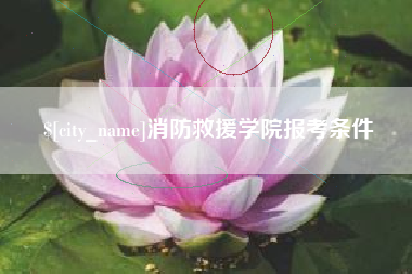 杞县消防救援学院报考条件