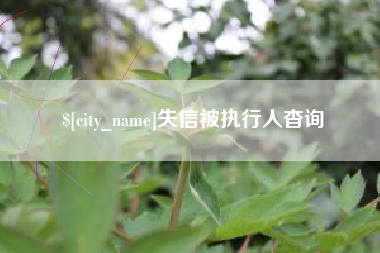 杞县失信被执行人杳询