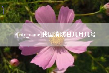 杞县我国消防日几月几号