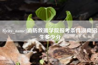 杞县消防救援学院报考条件湖南招生多少分