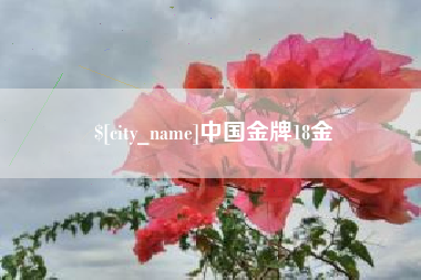 杞县中国金牌18金