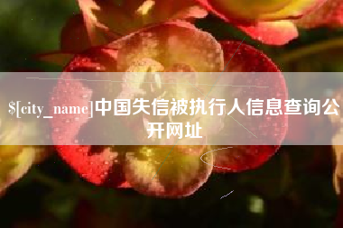 杞县中国失信被执行人信息查询公开网址