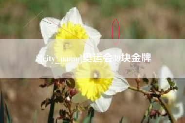 杞县奥运会39块金牌