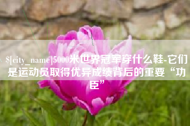 杞县5000米世界冠军穿什么鞋-它们是运动员取得优异成绩背后的重要“功臣”