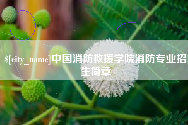 杞县中国消防救援学院消防专业招生简章
