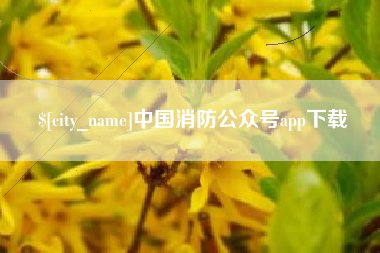 杞县中国消防公众号app下载