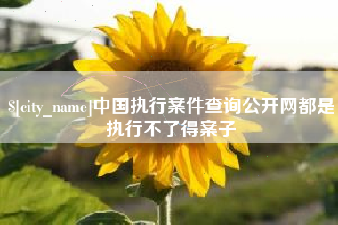 杞县中国执行案件查询公开网都是执行不了得案子