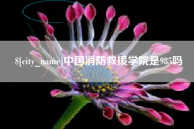 杞县中国消防救援学院是985吗