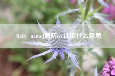杞县消防ccc认证什么意思