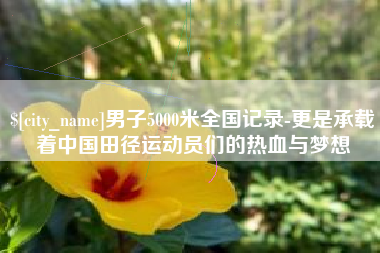 杞县男子5000米全国记录-更是承载着中国田径运动员们的热血与梦想