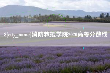 杞县消防救援学院2020高考分数线