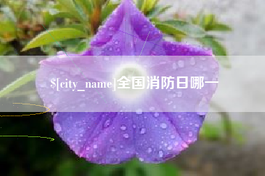 杞县全国消防日哪一