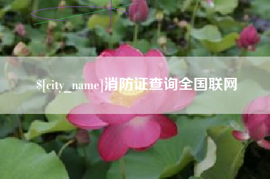 杞县消防证查询全国联网