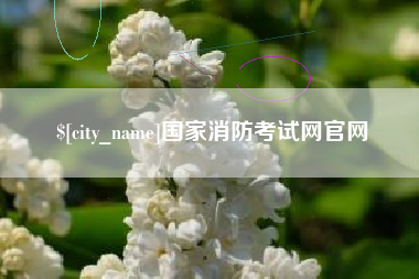 杞县国家消防考试网官网