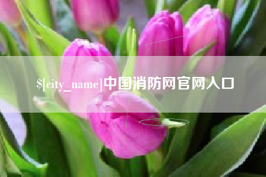 杞县中国消防网官网入口