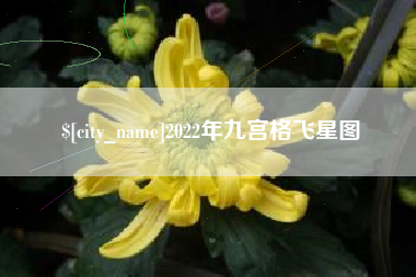 杞县2022年九宫格飞星图