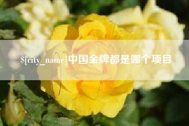 杞县中国金牌都是哪个项目