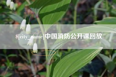 杞县中国消防公开课回放