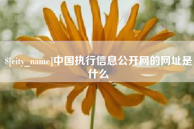 杞县中国执行信息公开网的网址是什么