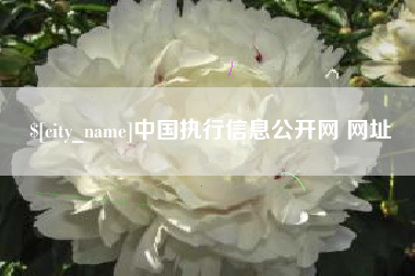杞县中国执行信息公开网 网址